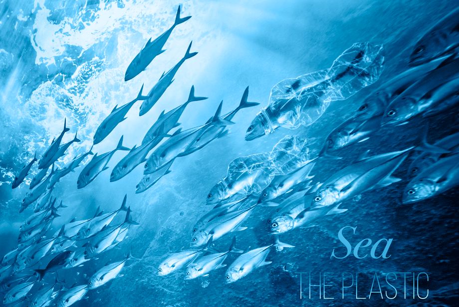 Sea-The-Plastic-2-(1)