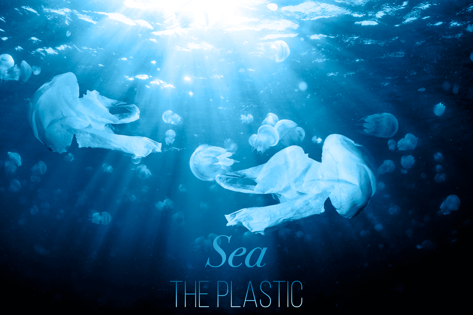 Sea-The-Plastic-